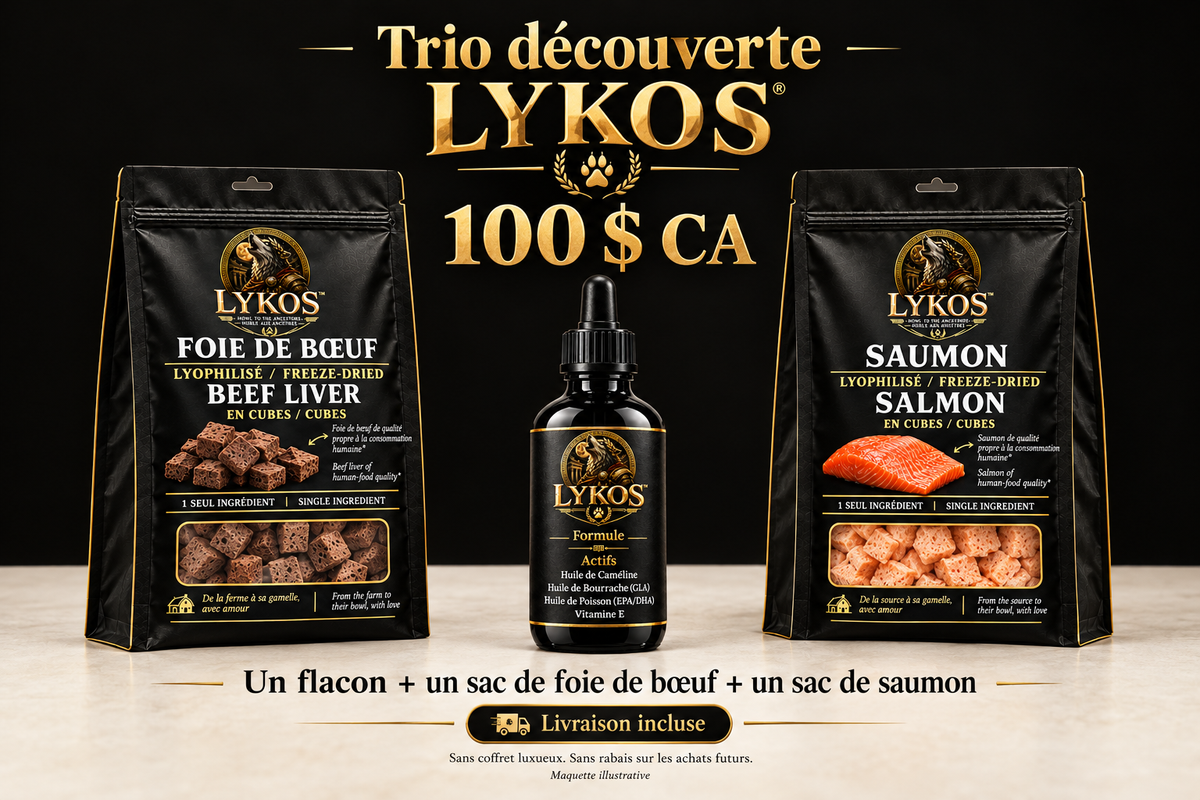LYKOS — Pack trio économique | Précommande
